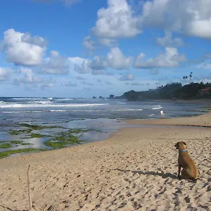Round House Bathsheba