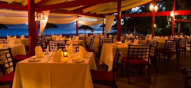 Bougainvillea Barbados Christ Church Hotel